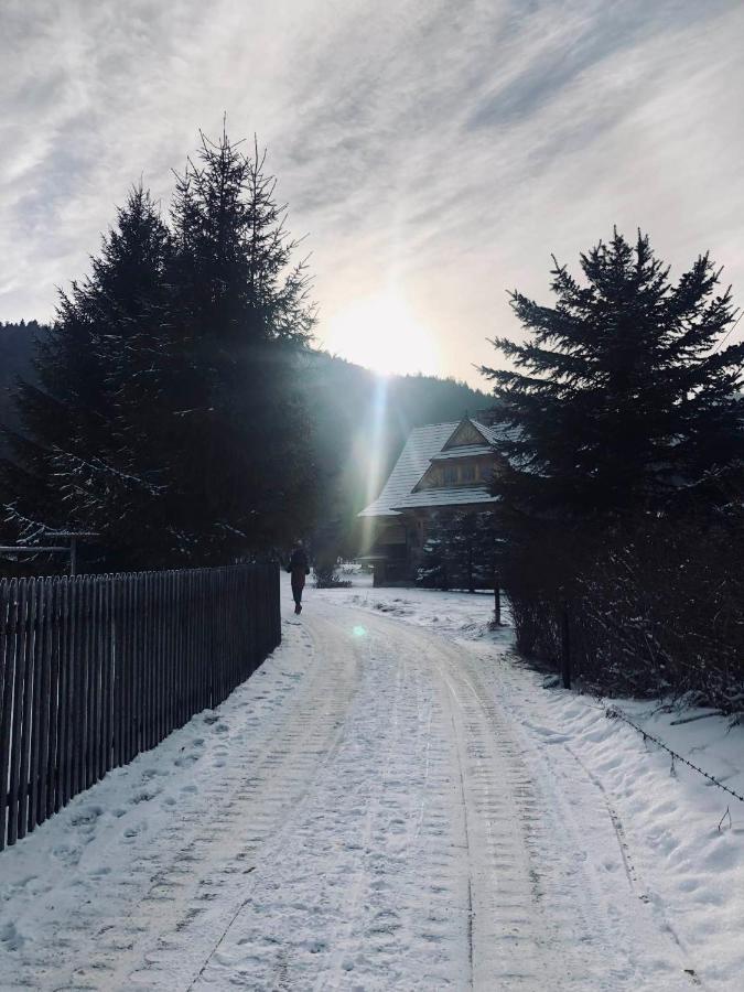 זקופאנה Giewont Mountain View Apartment מראה חיצוני תמונה